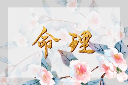 契合度配对测试 年龄配对 配对生肖 中安坏加正缘 糊涂姻缘 东西四命合婚法