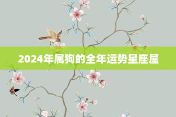 属狗人25年学车吉日 属狗提车吉日查询