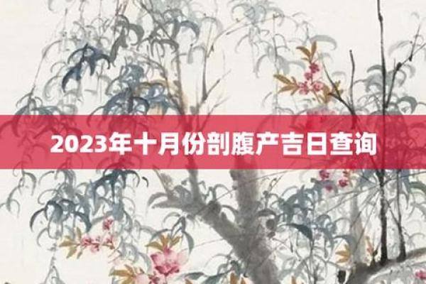 五月份男孩出生吉日 2024年男宝剖腹产吉日一览表