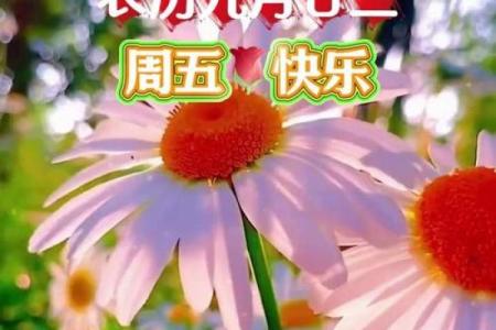 25年阳历九月吉日 农历9月25日子怎么样