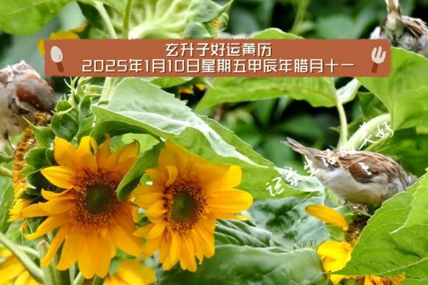 2025年建房子黄道吉日 2025年几月盖房子最吉利