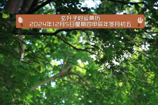 25年7月开张吉日 2024年做生意的初几开张好