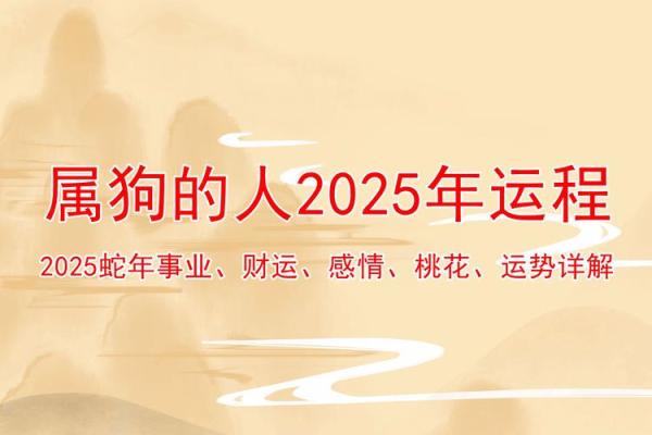 属狗2024年8月吉日 属狗2024年属狗每月运势和运